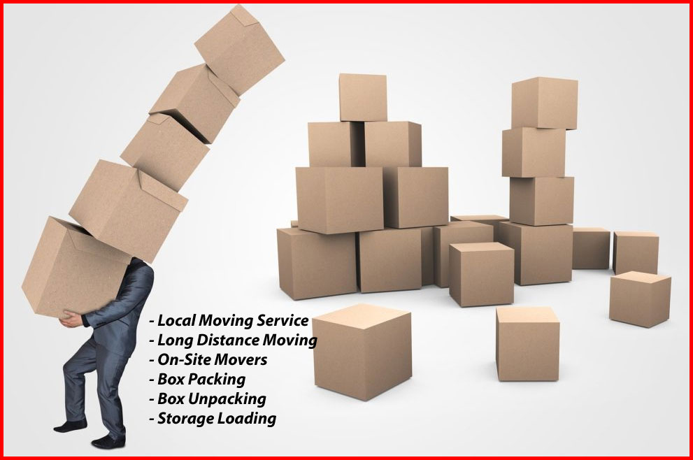 Packers And Movers Noida Sector 135